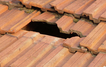 roof repair Whitcombe