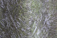 Whitcombe fibreglass roof work